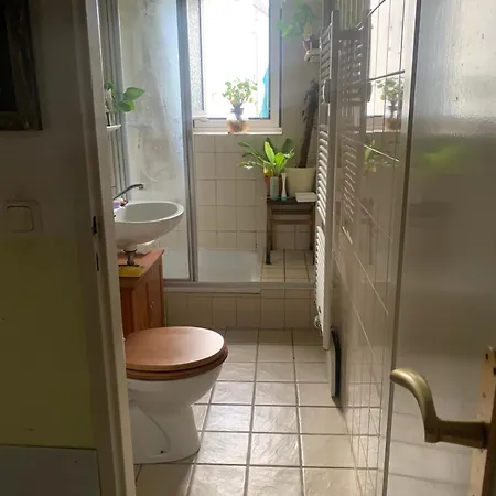 公寓 Gemutliche Mit Garten Und Top-verkehrsanbindung Fur 2 Monate 科隆